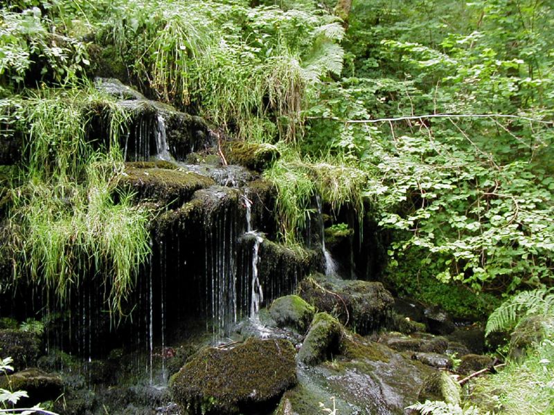 P8050033