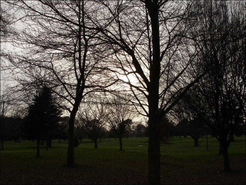 DSC01104_christchurch_hagleypark