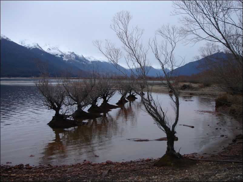 DSC01218_glenorchy
