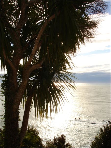 DSC01249_knightspoint