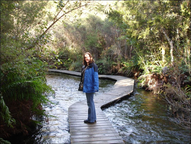 DSC01402_pupusprings