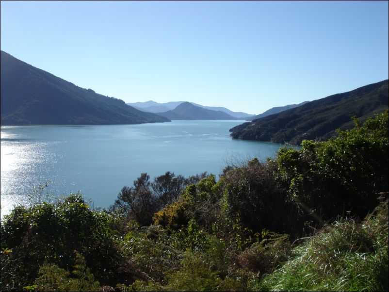 DSC01414_queen_charlotte_drive