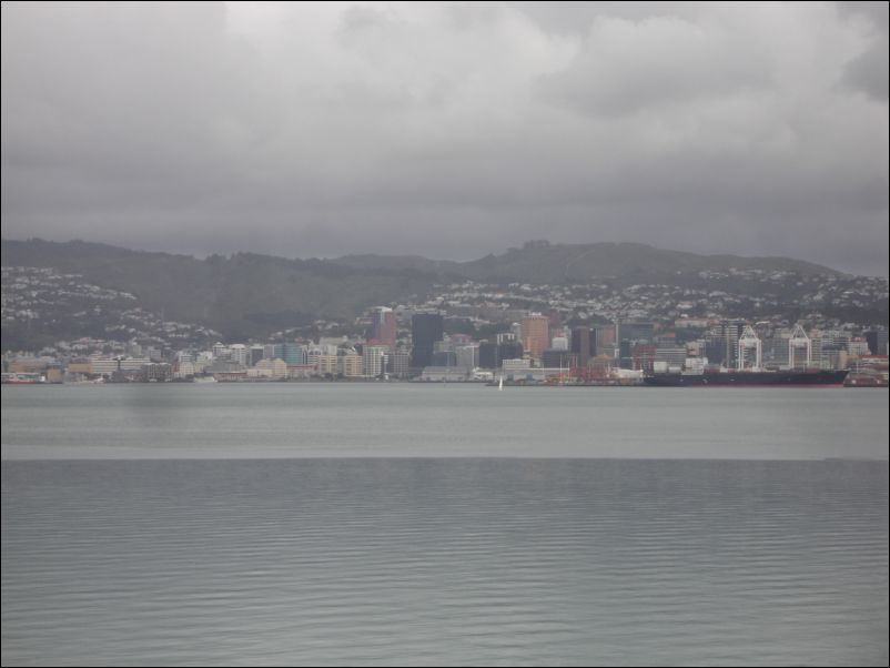 DSC01441_wellington