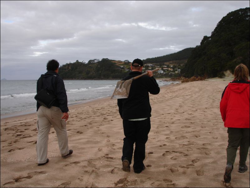 DSC01560_hot_water_beach