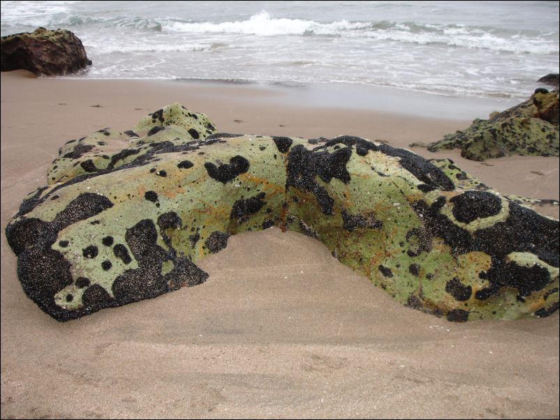 DSC01573_hot_water_beach