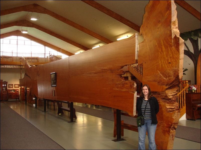 DSC01579_kauri_museum