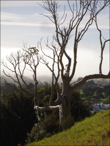 DSC01660_victoria_hill